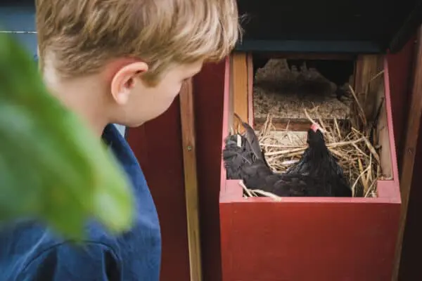 Summer at the Green Museum