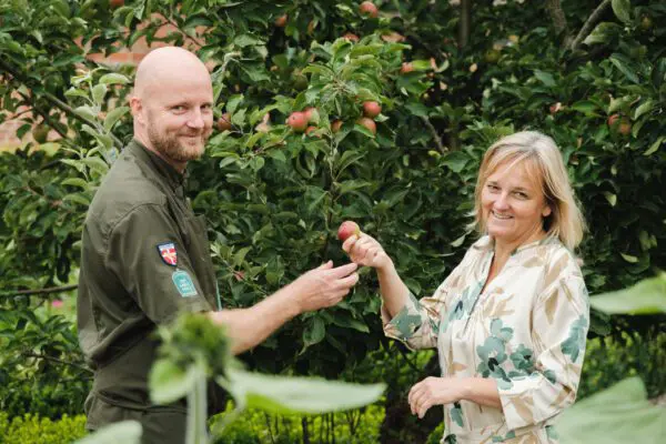 Erleben Sie die historischen Themen-Mittagessen, bei denen wir mit Gartenspaziergängen und Mittagessen die Geschichte des Essens bereichern
