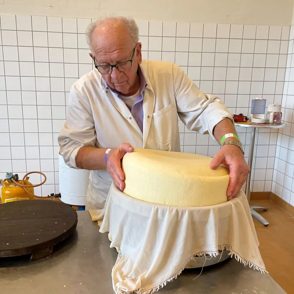Production of cheese
