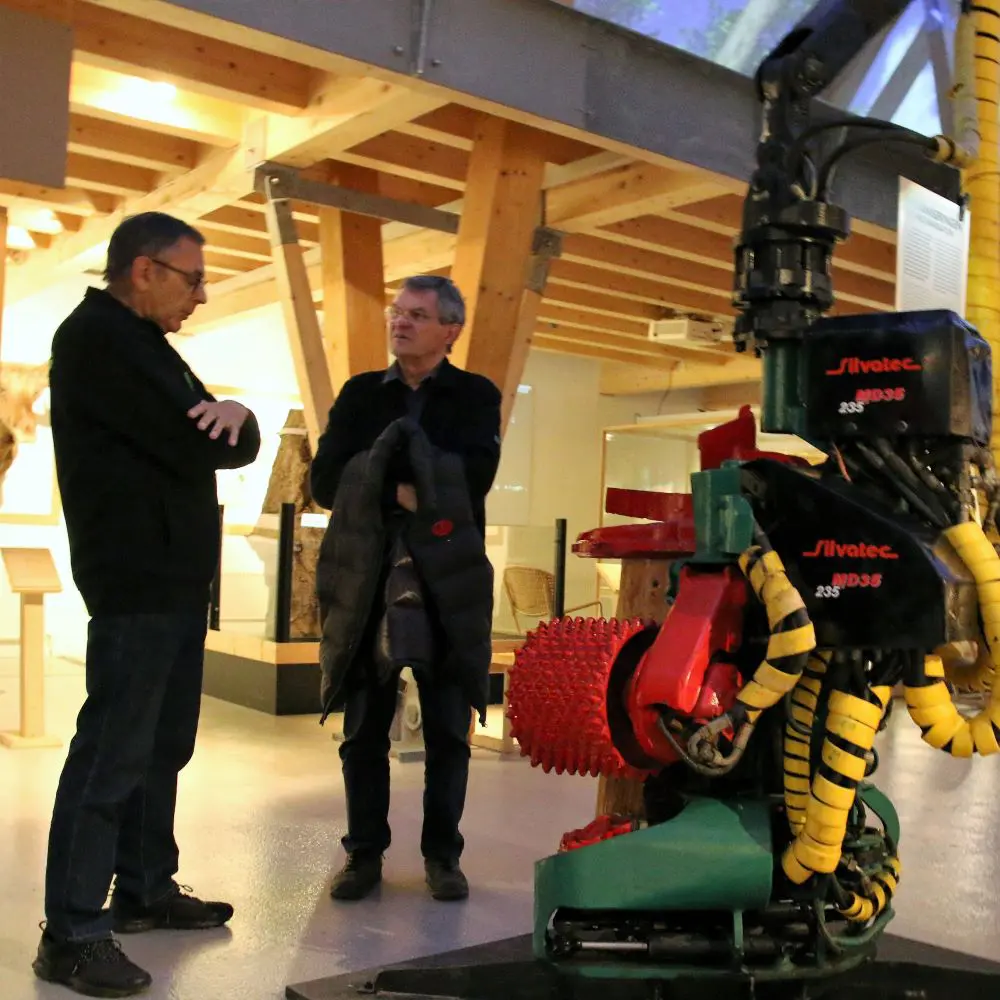 The Forest Guild volunteers talk about their work in the forest.