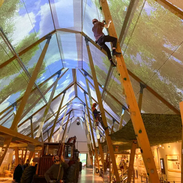 Tree climbing in the exhibition BIG