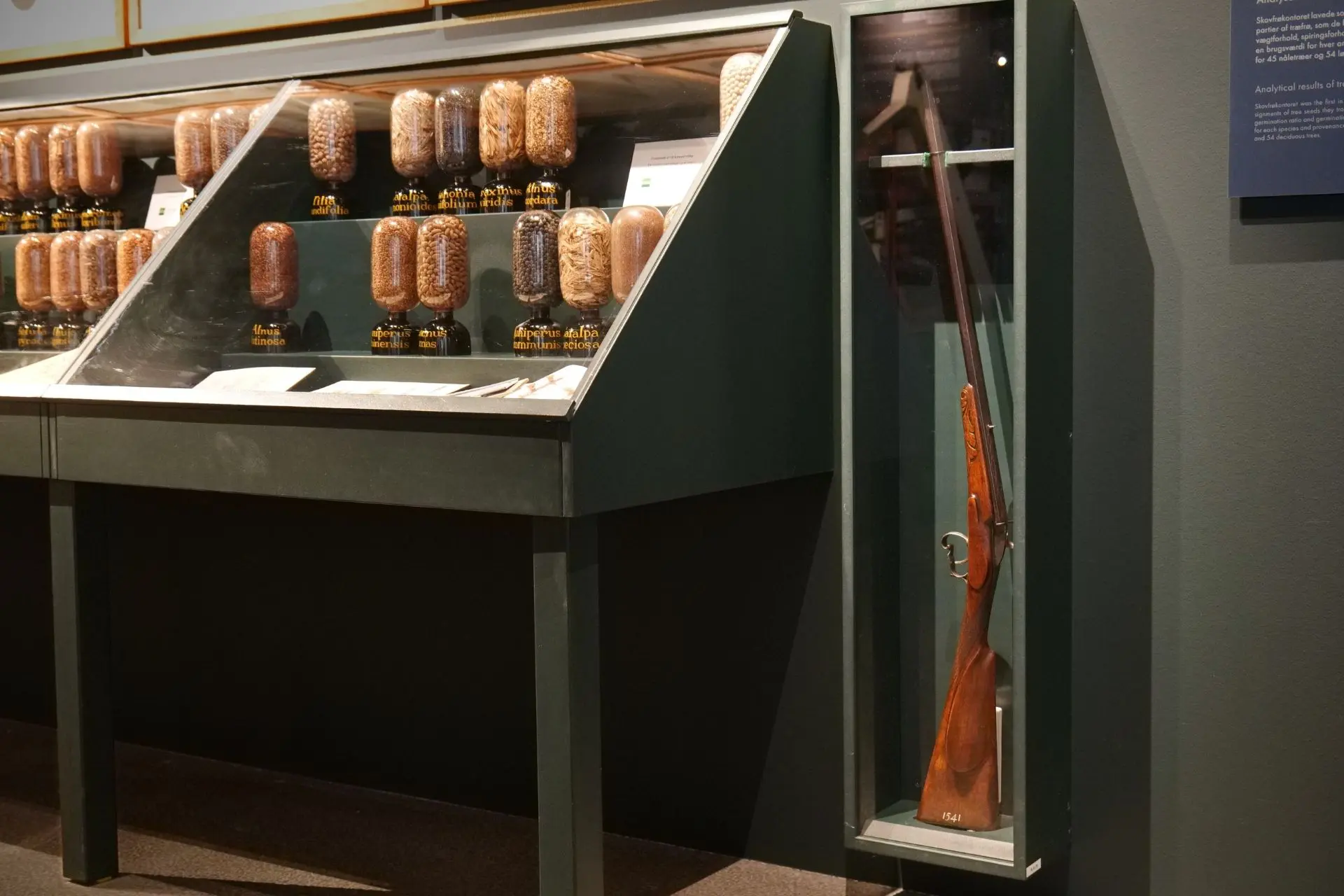 A Riffle For Science Carl Syrach-Larsen's rifle as displayed in The Grains of Gold exhibition