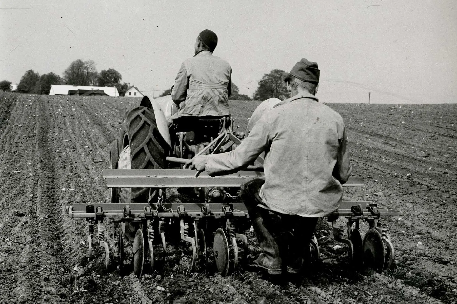Rad cleaner Picture of FORDSON MAJOR tractor pulling a row cleaner.