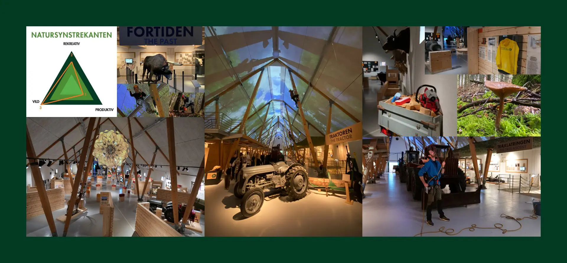 ÜBERSICHT UV Collage von Bildern, die etwas über den Lehrprozess aussagen – ÜBERSICHT im Green Museum