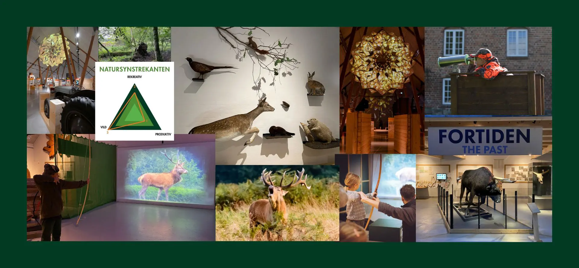 SPOT SHOT UV Collage for teaching course Spot shooting at the Green Museum