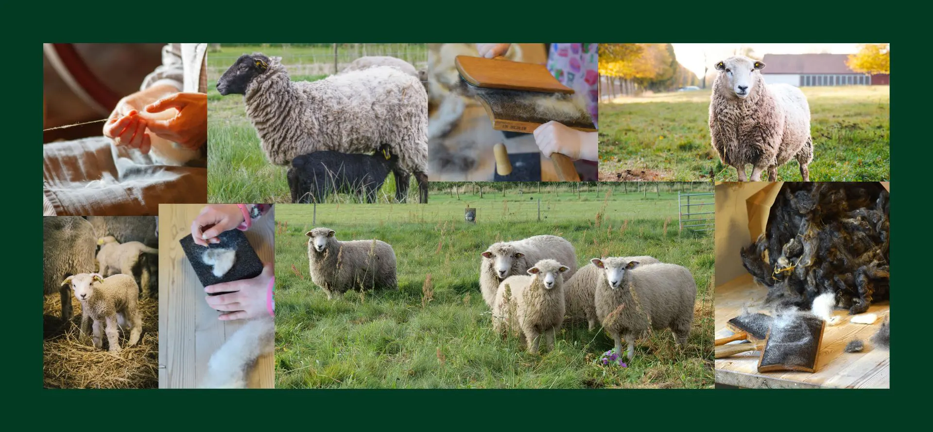 FROM SHEEP TO COAT Collage with images from the teaching course FROM SHEEP TO COAT at The Green Museum
