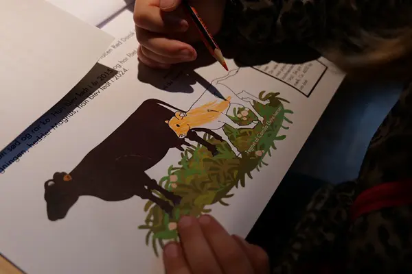 Teaching materials Child making educational materials about farm animals