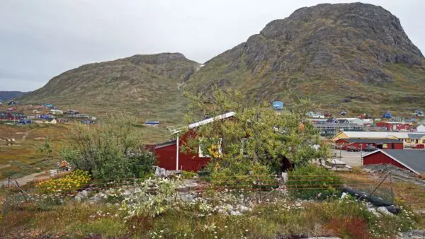 ORPIK - Narsaq - Finn Larsen