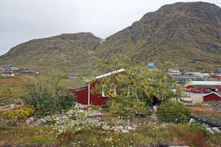 ORPIK - Narsaq - Finn Larsen