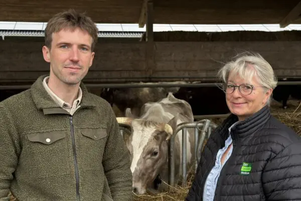Direktør for Det Grønne Museum Anne Bjerrekær og samlingschef Esben Bøgh Sørensen foran museets gamle kvægracer.