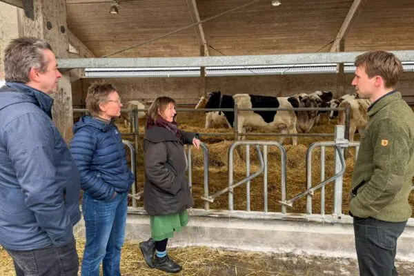 Forskningsgruppen står foran husdyrene