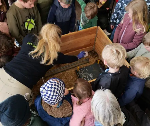 Formidler fodre kyllinger i forbindelse med fodretur