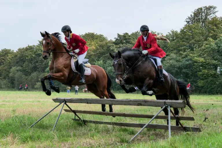 2 horses jump over obstacle at ELRO day