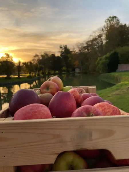 En Æblekasse ude i den smukke natur ved museet